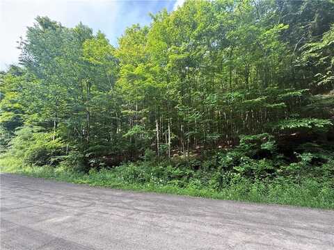 7420 Feather Street, Springwater, NY 14512