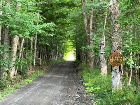 Breesport Road, Erin, NY 14838