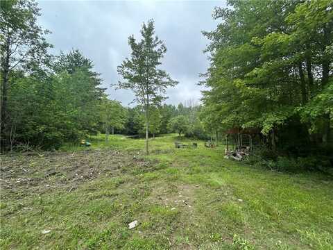 Gay Hill Road, Spencer, NY 14883
