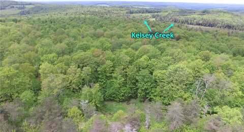 Lot 15.1 Ward Loomis Road, Oxford, NY 13830
