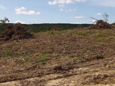 Lot 13 Summer City Road, Evensville, TN 37332