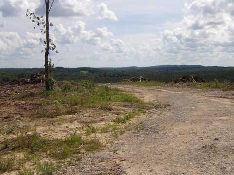 Lot 16 Summer City Road, Evensville, TN 37332