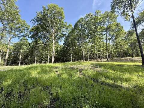 Lott 6 Hobbstown Road, Dunlap, TN 37327