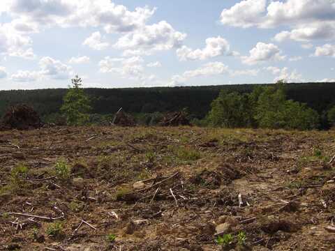 Lot 14 Summer City Road, Evensville, TN 37332