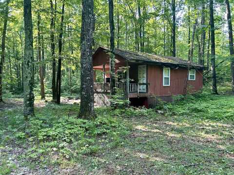 4983 BLACKBERRY LANE, ELMIRA, MI 49730