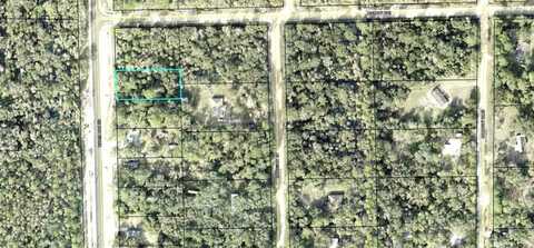 2289 WATER OAK ROAD, BUNNELL, FL 32110