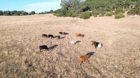 12244 South Camanche Parkway South, Burson, CA 95225