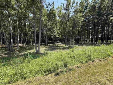 Lot 4 Highway 668, Conway, SC 29526