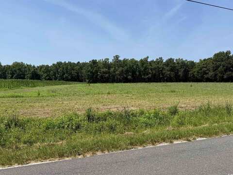 TBD Highway 668, Conway, SC 29526