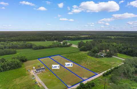 Lot A Pleasant View Church Rd., Nichols, SC 29581