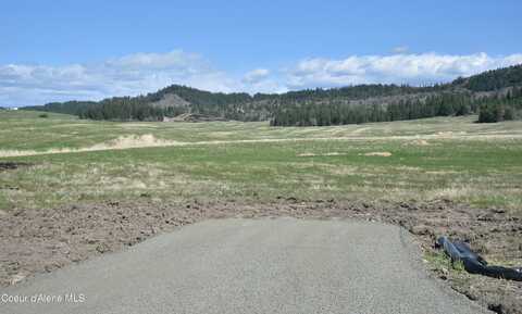 Lot 1 Mundt Rd, Plummer, ID 83851