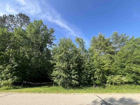 Unit 10 Pinelands Point, Gladwin, MI 48624