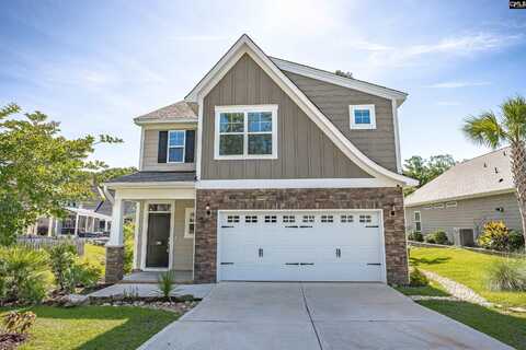 386 Amalfi Drive, Chapin, SC 29036