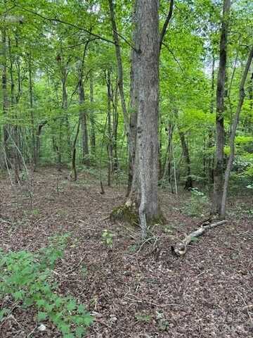 Timber Road, Iron Station, NC 28080