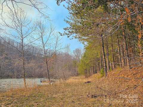 Parkway Road N unit: 3, Mill Spring, NC 28756
