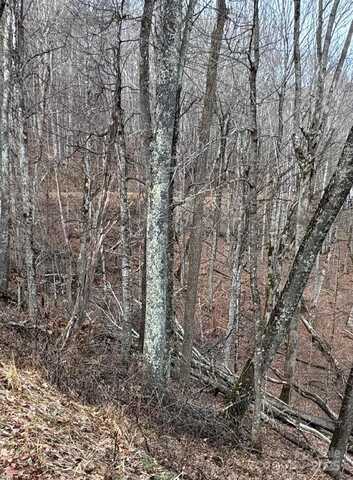 Spring Brook Drive unit: 314, Mars Hill, NC 28754