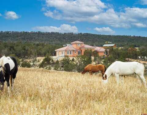 38150 Polson Road, Crawford, CO 81415