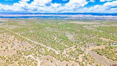 61020 Tres Coyote Trail, Montrose, CO 81403
