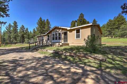 29 Baldwin Court, Pagosa Springs, CO 81147