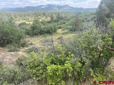 1172 Cactus Drive, Pagosa Springs, CO 81147
