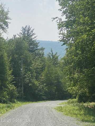L20.44 Robinson Hollow Way, Stephentown, NY 12168