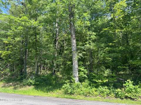 L20.1 Vosenkill Road, Athens, NY 12015