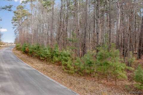 Eagle Bluff Road, Claremont, VA 23881