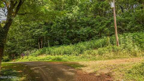 Lot 35 Salt Lane, Savannah, TN 38372