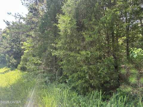 0 Fryes Point Road, Luray, TN 38352