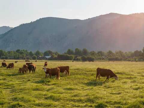 120 ACRES SOUTH PARK LOOP ROAD, Jackson, WY 83001