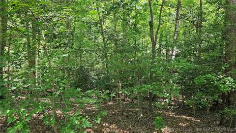 5029 Cardinal Circle, Sanford, NC 27332