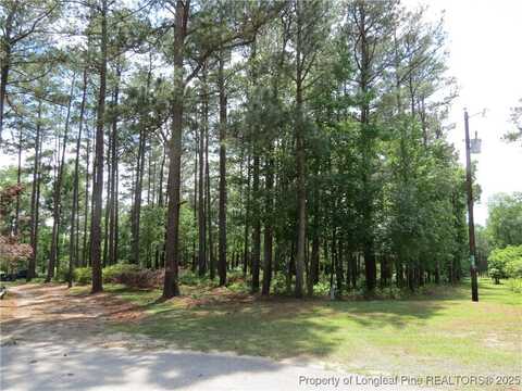Knollwood Lane, Broadway, NC 27505
