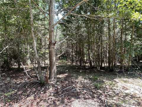 Henschel Lane, Broadway, NC 27505