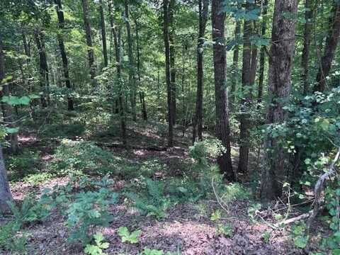 10090 Brazell Road, Chattahoochee Hills, GA 30213