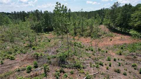 00 Little Mountain, Dawsonville, GA 30534