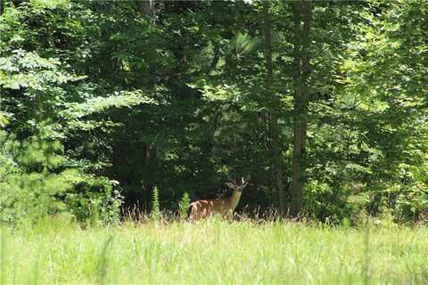 00000 Jumper Drive, Ellijay, GA 30540