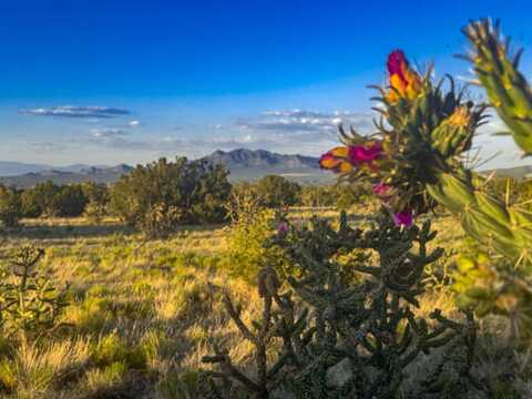 90 Vista La Madera, Sandia Park, NM 87047