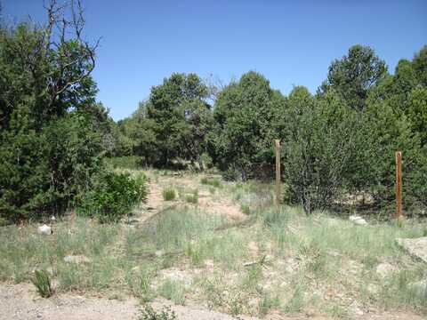 16 ROADRUNNER Road, Tijeras, NM 87059