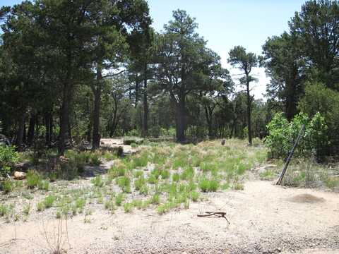 7 BLACKBIRD Road, Tijeras, NM 87059
