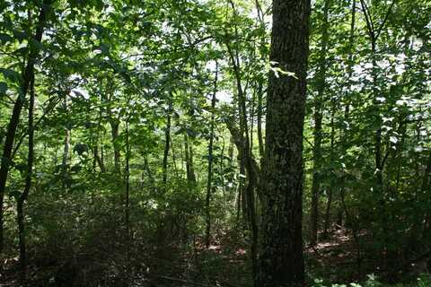 43 HIGH VALLEY SOUTH, MONTEREY, VA 24465