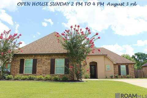 18190 Old Reserve, Prairieville, LA 70769