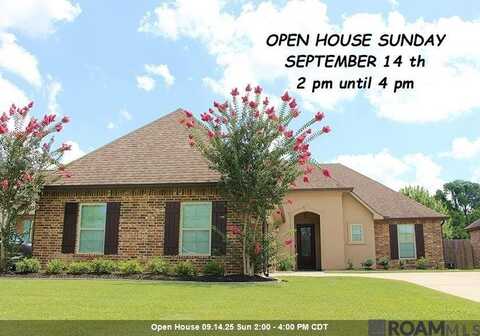 18190 Old Reserve, Prairieville, LA 70769