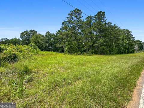 0 0 Firetower Road (6.6 acres), Thomaston, GA 30286
