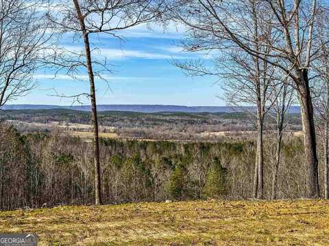 0 Back Berryton, Summerville, GA 30747