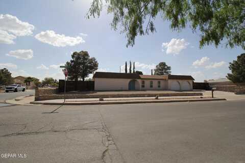 351 DUANESBURG Street, Horizon City, TX 79928
