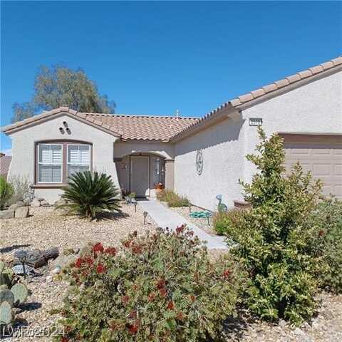 2570 Downeyville Avenue, Henderson, NV 89052