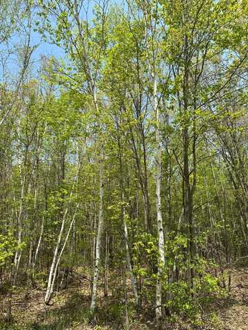 On BURROWS LAKE RD, Tomahawk, WI 54887