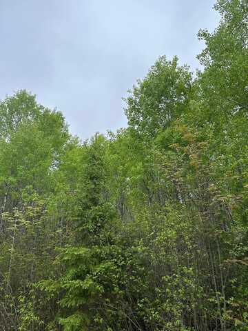 On BURROWS LAKE RD, Tomahawk, WI 54887