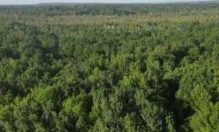 3607 Bawkey Road W, Farwell, MI 48622