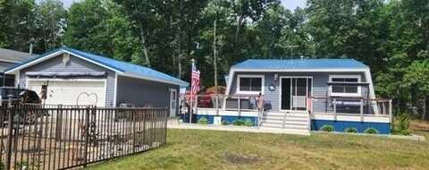 11953 S Wedgewood Avenue, Baldwin, MI 49304